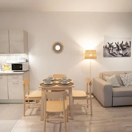 Boutique With Free Swimming Pool And Parking *