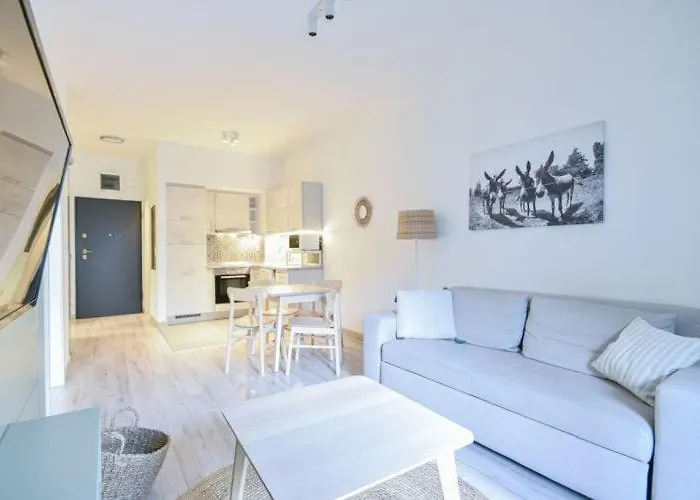 Boutique With Free Swimming Pool And Parking *